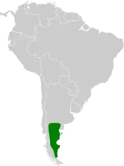 Distribución geográfica de la bandurrita patagona.