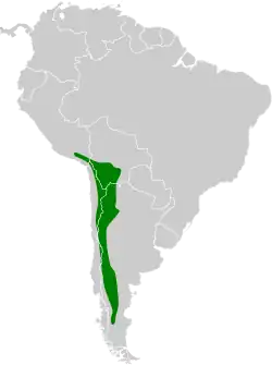 Distribución geográfica de la bandurrita piquirrecta.