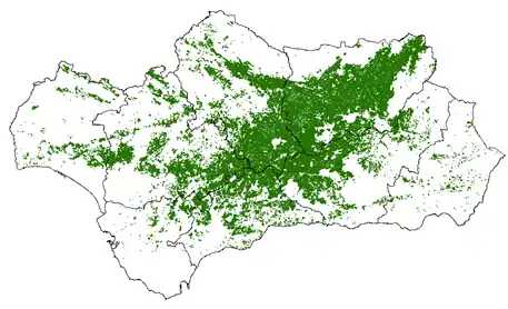 Distribución del olivar en Andalucía (principal productor de aceite de oliva a nivel mundial)