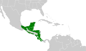 Distribución geográfica de la mosquero piquicurvo norteño.