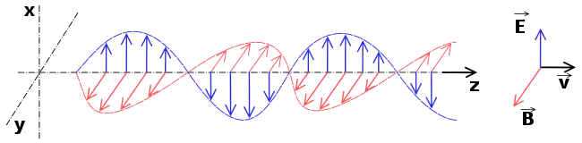 Vista lateral (izquierda) de una onda electromagnética a lo largo de un instante y vista frontal (derecha) de la misma en un momento determinado. De color rojo se representa el campo magnético y de azul el eléctrico.