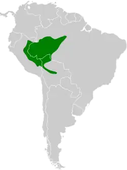 Distribución geográfica del hormiguero gorgiblanco.