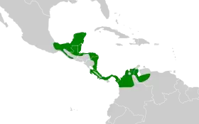 Distribución geográfica del mosquero real centroamericano.
