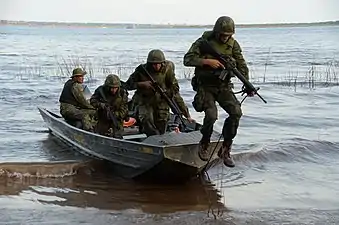 Infatería de marina en amazonia.