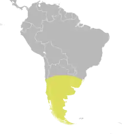 Distribución de Oxyura vittata