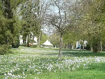 Parc thermal de Contrexeville florido.