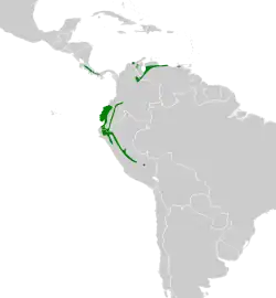 Distribución geográfica del anambé blanquinegro (incluyendo P. albogriseus salvini).
