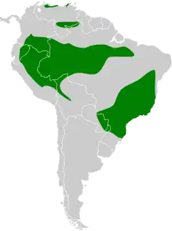 Distribución geográfica del anambé castaño.