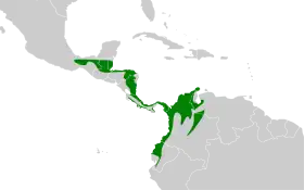 Distribución geográfica del anambé canelo.