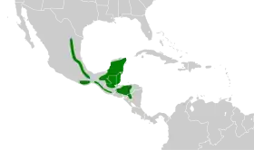 Distribución geográfica del anambé mexicano.