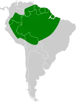 Distribución geográfica del anambé gorgirrosa.