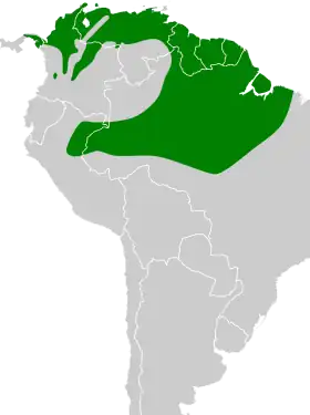 Distribución geográfica del anambé cinéreo.