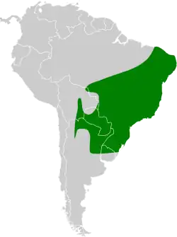 Distribución geográfica del anambé verdoso.