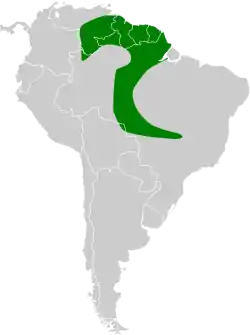 Distribución geográfica del verdillo atrapamoscas.