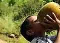 Niño bebiendo agua de coco en Tonga.