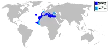 Distribución de la breca