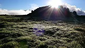 Paisaje cercano a Isora