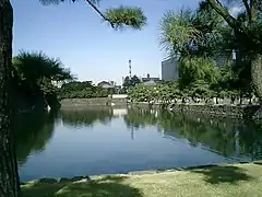 Foso frente al palacio.