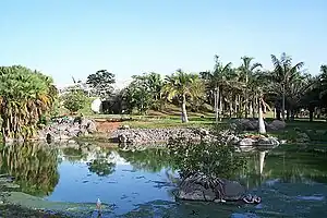 Palmetum de Santa Cruz de Tenerife