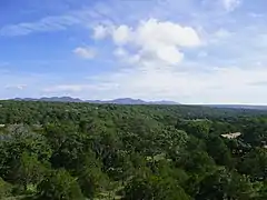 Bosques de la Sierra Fría.