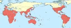 Distribución de Pantala flavescens