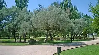 Vista del recinto 3