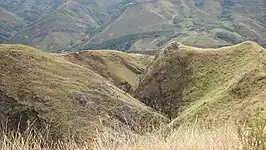 Páramo quechua en el cerro chinchango - centro poblado de Santa clara.