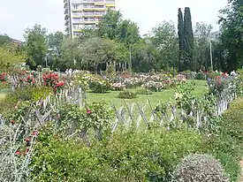 Rosaleda del Parque de Cervantes en Barcelona.