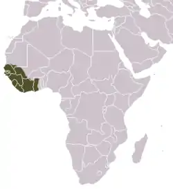 Distribución de la jineta pardina