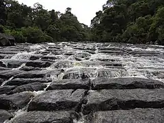 Parque Nacional Cueva de los Guacháros Acevedo