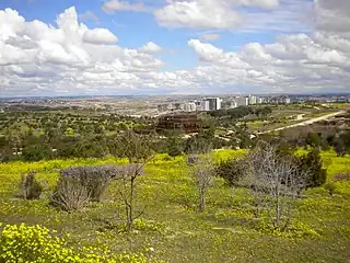 Parque forestal de Valdebebas