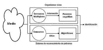 El sistema intenta imitar a los sensores biológicos y procesos cognitivos de los seres humanos