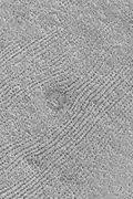 El suelo estampado alguna vez se llamó terreno de huellas digitales porque parecía huellas digitales gigantes. Los puntos oscuros son en realidad cadenas de montículos bajos. La característica circular central es un anillo de rocas oscuras en el borde de un cráter enterrado. Imagen de Mars Global Surveyor .