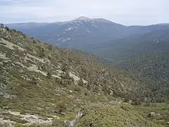 Valle de Valsaín con Peñalara al fondo.