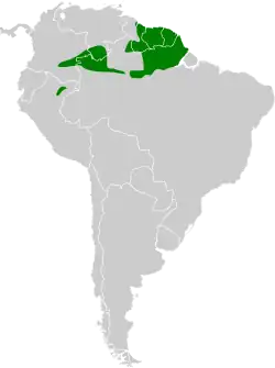 Distribución geográfica del hormiguero cabecinegro.