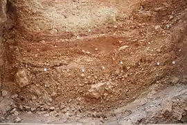 Sima del Elefante en Atapuerca.