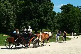 Paseo de caballos
