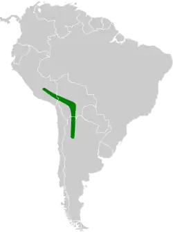 Distribución geográfica del espinero andino.