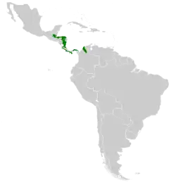 Distribución de P. cuvierii