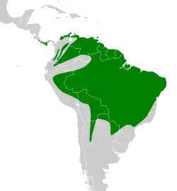 Distribución geográfica del piojito pardo (incluyendo N. imcontus)
