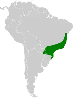 Distribución geográfica del ticotico cabecinegro.