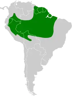 Distribución geográfica del ticotico lomirrufo.