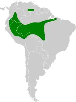 Distribución geográfica del ticotico alicastaño.