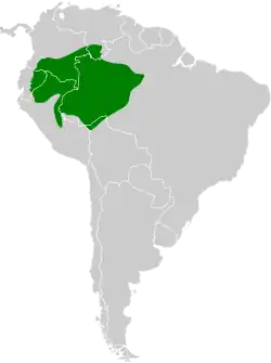 Distribución geográfica del hormiguero alirrojo.