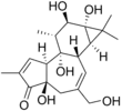 Imagen de la estructura