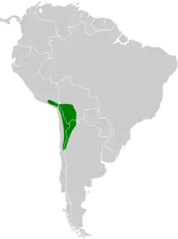 Distribución geográfica del yal cabecinegro.