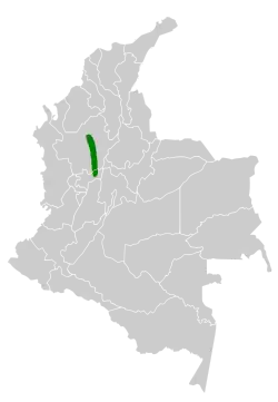 Distribución geográfica del orejerito antioqueño.
