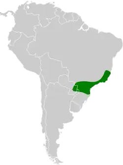 Distribución geográfica del orejerito de São Paulo.