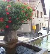 Fuente de agua entre Aigle y Saint-Maurice (Vaud).