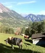 Paisaje alpino desde la Vía Francígena.